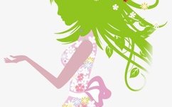 高N车多肉多沉清垣